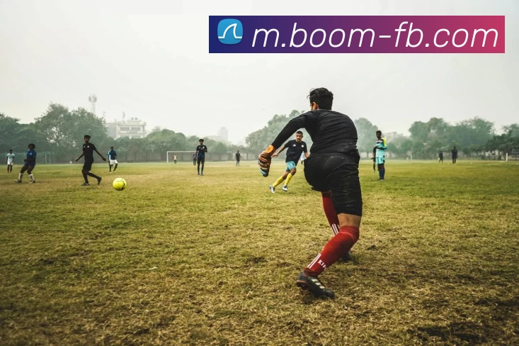 FB体育平台生态图